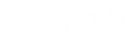 DS Show